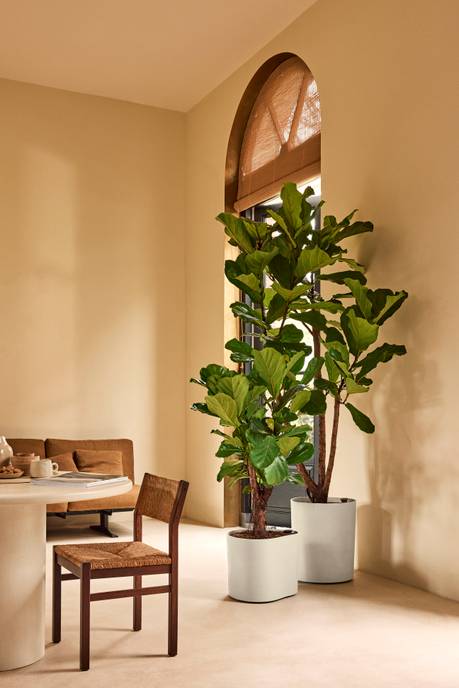 eden aquacare medium 40cm bianco lino